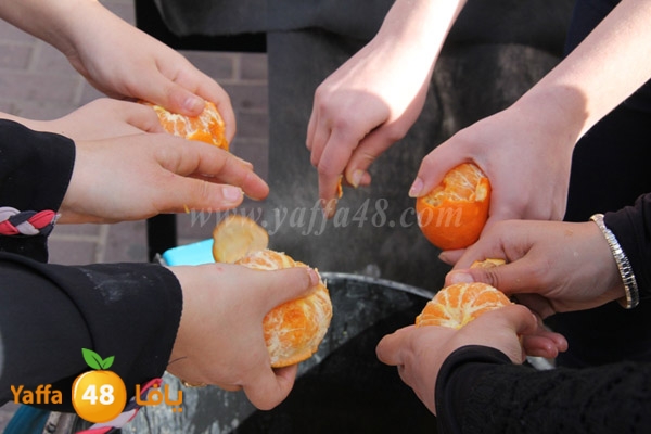 shamela sandouq (29).JPG